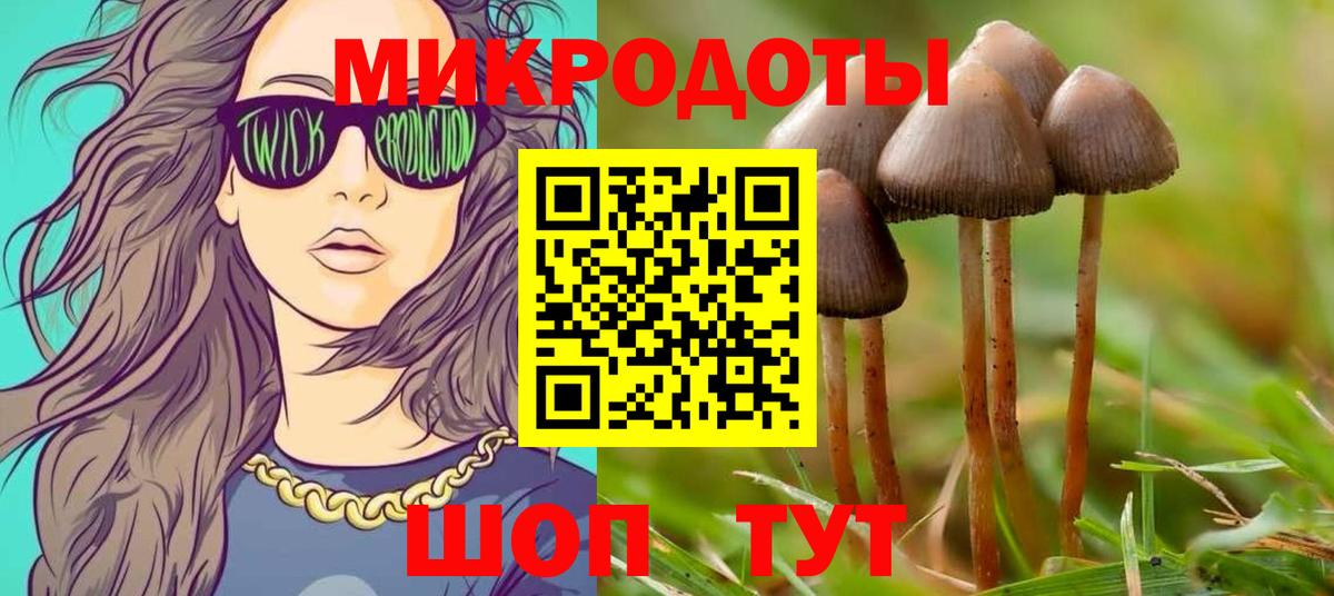Владикавказ  где купить наркоту  Вход с VPN  Галлюциногенные грибы Cubensis 